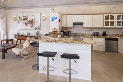 Luxury Villa Photo #7