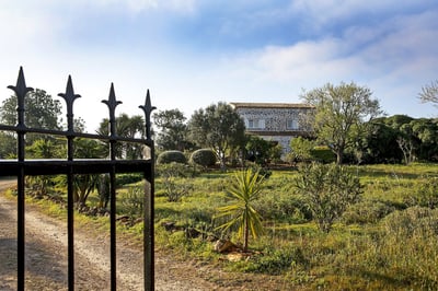 Luxury Villa Photo #6