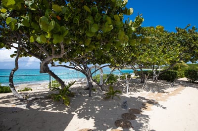 Luxury Villa Photo #6