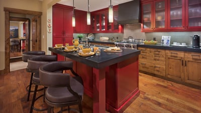 Gourmet kitchen