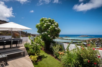 Pool & Terrace & Garden