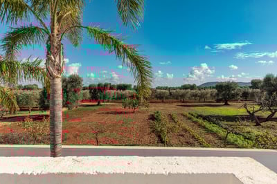 Luxury Villa Photo #6