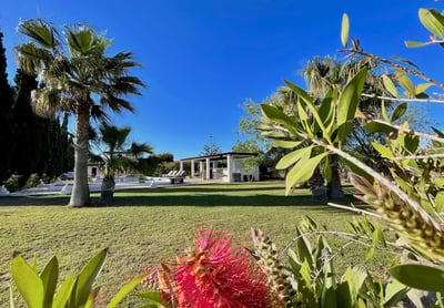 Luxury Villa Photo #9
