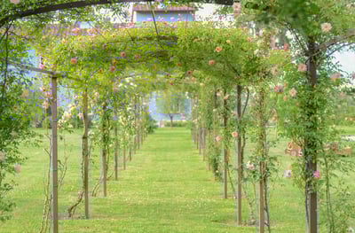 Luxury Villa Photo #7