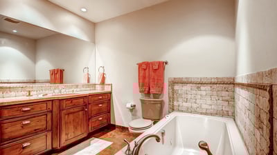 Lower level hall bath