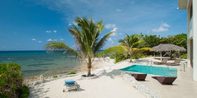 Old Man Bay,Christmas Palms