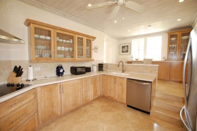 Luxury Villa Photo #6