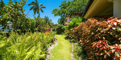 Luxury Villa Photo #29