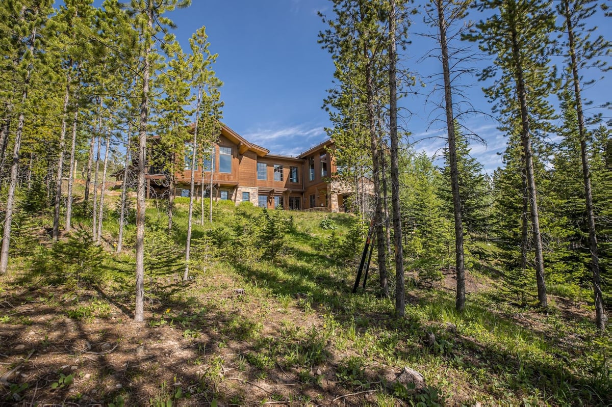 The Last Best Chalet