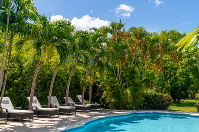 Luxury Villa Photo #4