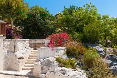 Luxury Villa Photo #8