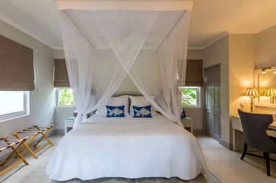 Luxury Villa Photo #3