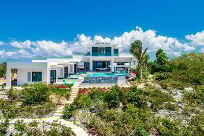 Turtle Tail,Sandy Bottom