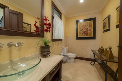 Luxury Villa Photo #44