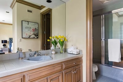 Luxury Villa Photo #42