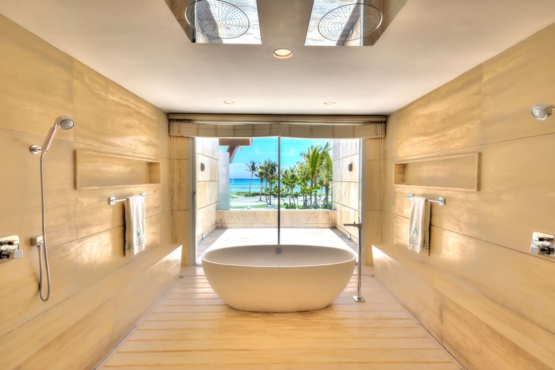 Arrecife 15 | Tartaruga