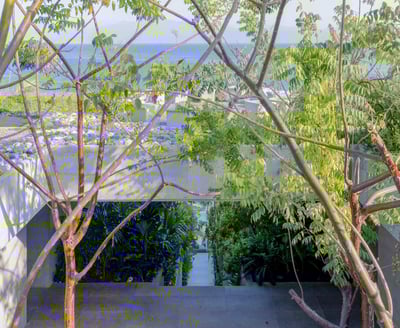 Luxury Villa Photo #26