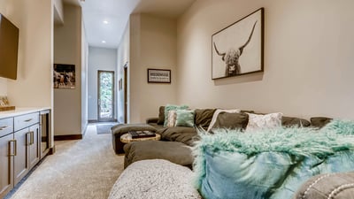 Lower level den with TV and wet bar