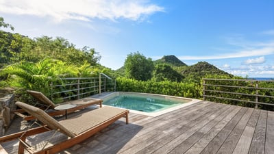 Pool & Terrace: Nice pool, expansive terrace with loungers and deck chairs. 