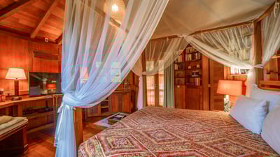 Luxury Villa Photo #55