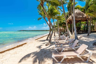 Luxury Villa Photo #55