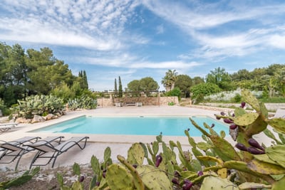 Luxury Villa Photo #3