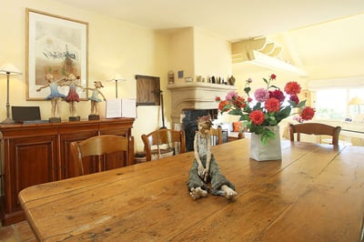 Luxury Villa Photo #10