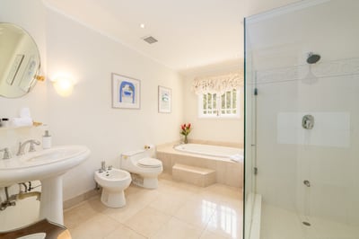 Luxury Villa Photo #36