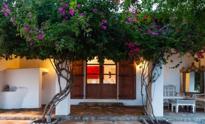 Luxury Villa Photo #12
