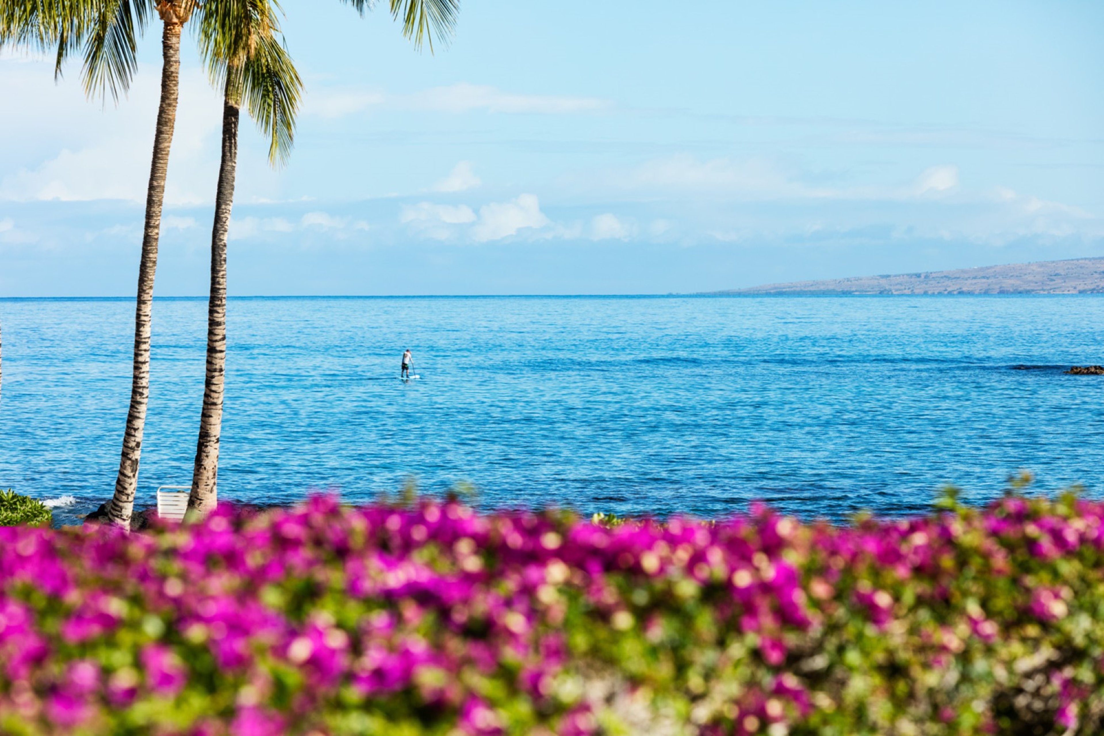 Pauoa Beach Estate - 40