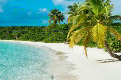 Luxury Villa Photo #25