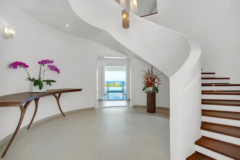 BougainVilla on Spring Farm