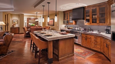 Gourmet renovated kitchen
