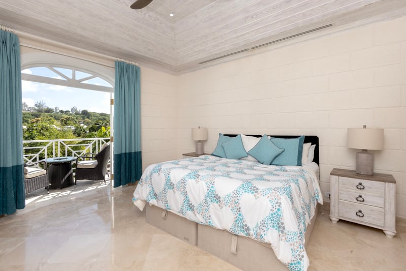 Old Trees 302 | La Mirage