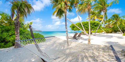 Luxury Villa Photo #3
