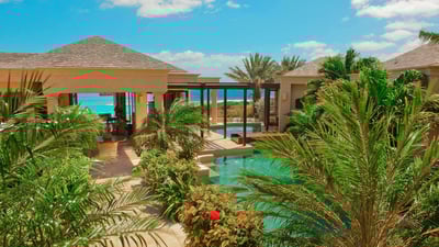 Sandy Hill,Bird of Paradise