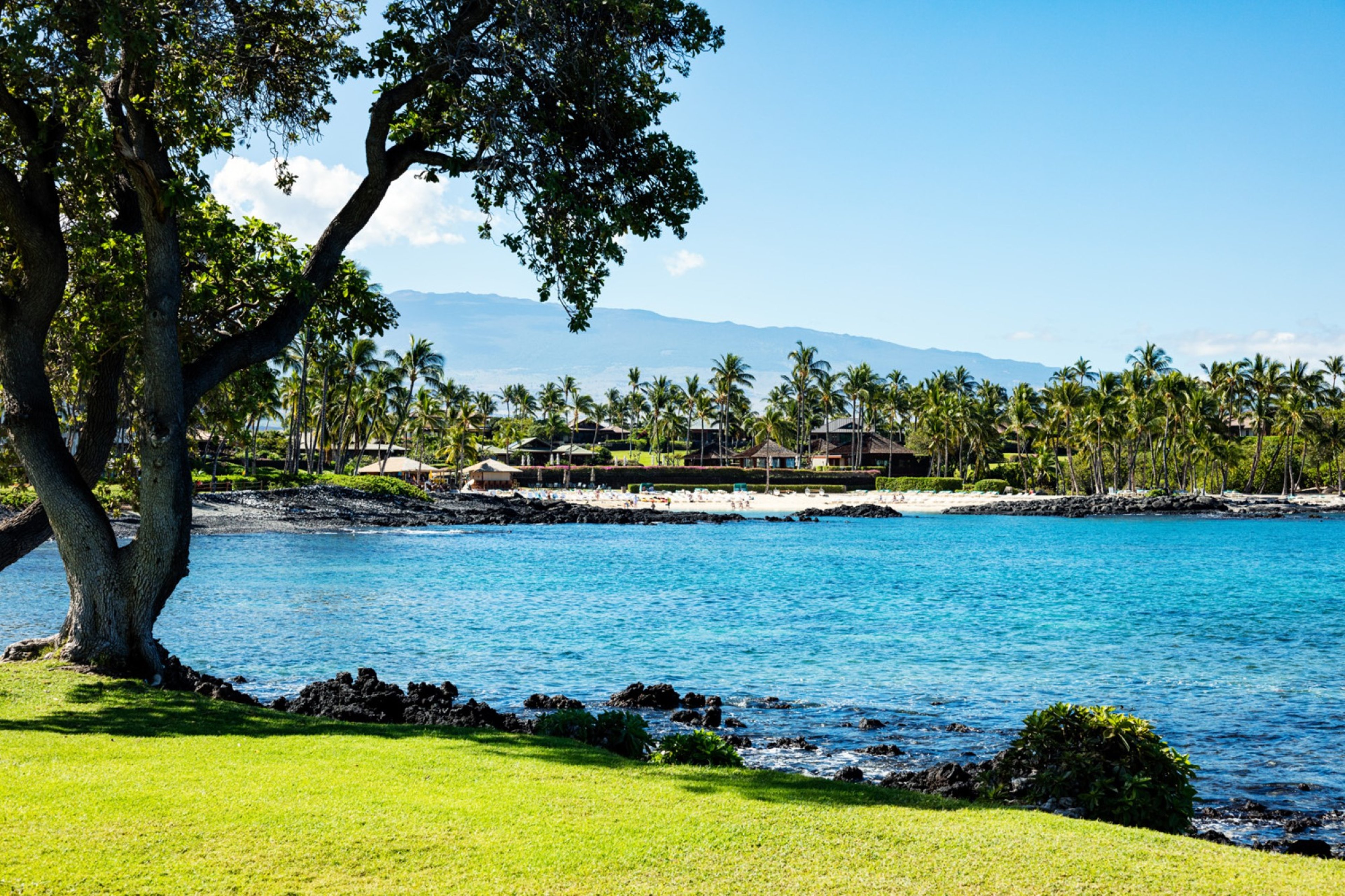 Pauoa Beach Estate - 47