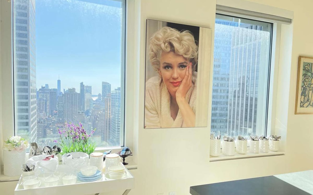 Penthouse 2 - Manhattan apartment rental - 3