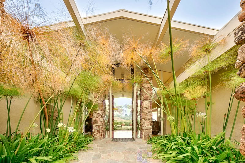 Hollywood Hills Mid Century Modern