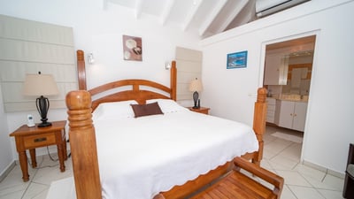 Luxury Villa Photo #17