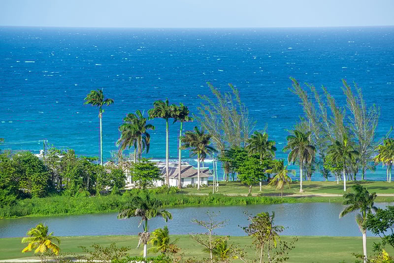 Tradewinds on the Sea