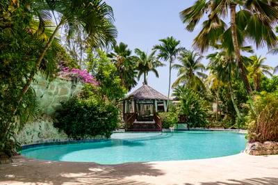 Communal Pool