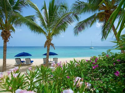 Luxury Villa Photo #10