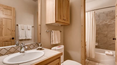 Lower level hall bath