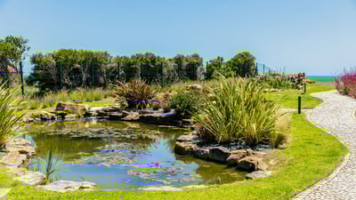 Luxury Villa Photo #5