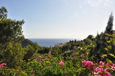 Luxury Villa Photo #40