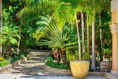 Luxury Villa Photo #17