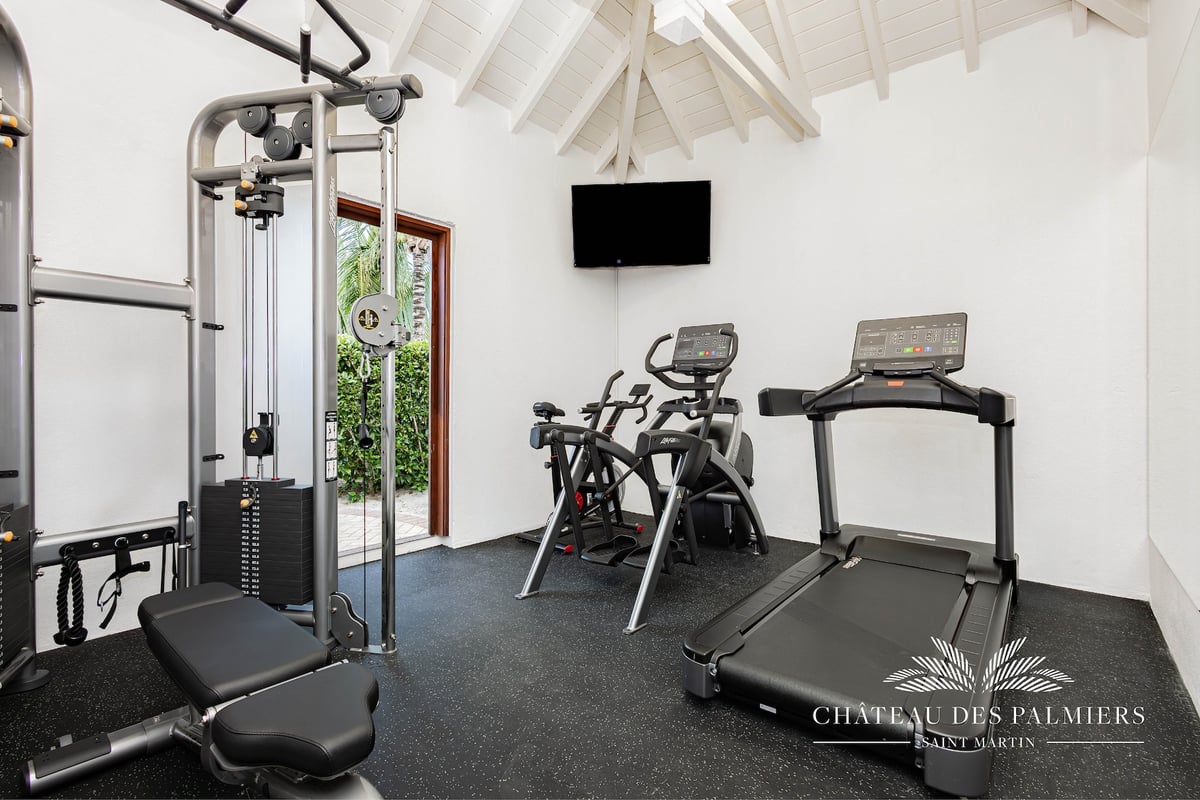 Château des Palmiers