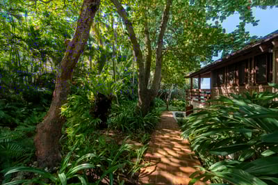 Luxury Villa Photo #61