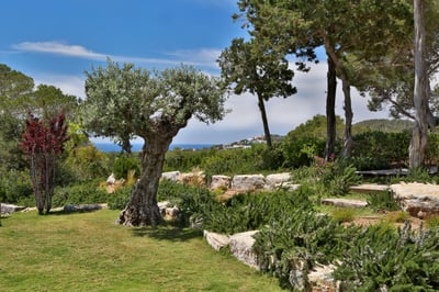 Luxury Villa Photo #18